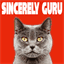 sincerely-guru.com