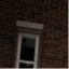 shellsays.com