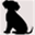 junorescuedbeagle.com
