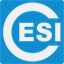 cesi-gz.com