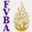 fvbball.com