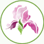 iris4u.com