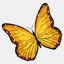 hodel.cl