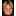 stanglmayr.com