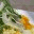 culinarycunts.wordpress.com