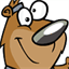 bearsontherun.com