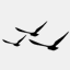 theflyways.com