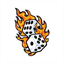 customdicebox.com