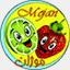 mojan-co.com