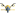 falconweb.in