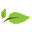 cusumanoandstuver.com