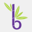 bamboocoaching.com