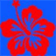 draguignan-triathlon.over-blog.com