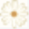 flora-michiko.com