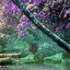 akashic-light.org