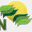 evergreencr.com