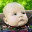 mtschneider.wordpress.com