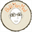 baldmanmod.com