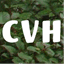 constancevanhoven.com