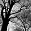 adhenderson.org