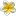 oegugin.com