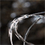 openiris.net