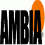ambia.info