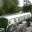 clearcutandcapable.wordpress.com