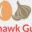 fishhawkguides.com