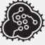 amoebacore.org