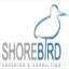 shorebirdcoaching.com