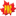 peelmc.ca