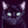 thefriendlycat.com