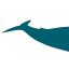 carlinateteris.com