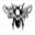 beejuvenate.com