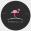 genius-store-gallery.strikingly.com