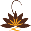 sensenova.es