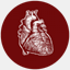 macanatomy.mcmaster.ca