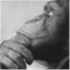 roadchimp.wordpress.com