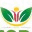 cancertrust.wordpress.com