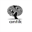 antikconcept.com