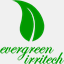 nbevergreen.com