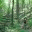 ladiesmtb.wordpress.com