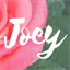 everydayjoey.com