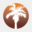 palmbeachwindow.com