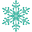 skioki.com
