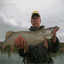 pike-attack10.over-blog.com