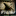 baptize-news.blogspot.com
