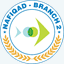 nafiqad2.vn