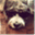 soundslikeaparker.com